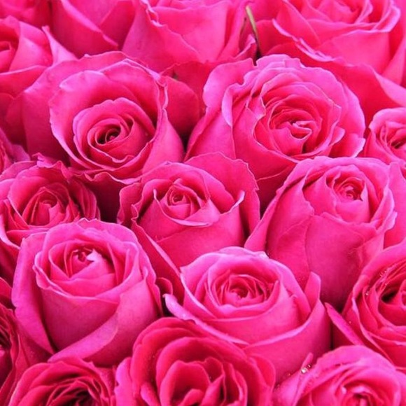 Meet your Posher, Stephanie - Picture 1 of 1